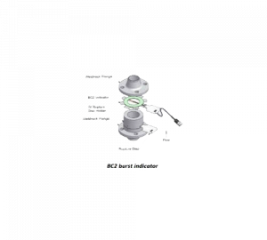Burst Disc Indicators - integral energy