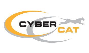 Cyber cat